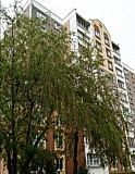 Купить 2-комнатную квартиру, Минск, ул. Прушинских, д. 28 (Ленинский район) Минск
