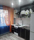 Квартира двухкомнатная на Ватутина 28, Борисов Борисов