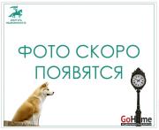 Купить 1-комнатную квартиру, Минск, Слободской проезд, 6 (Московский район) Минск