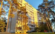 Снять 1-комнатную квартиру, Минск, ул. Шишкина, д. 17 в аренду  (Заводской район) Минск