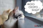 Купить 1-комнатную квартиру, Минск, Павлины Медёлки ул., 7 (Центральный район) Минск