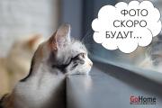 Купить 1-комнатную квартиру, Минск, Пушкина просп., 40/2 (Фрунзенский район) Минск