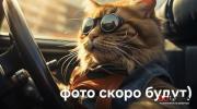 Купить 3-комнатную квартиру, Минск, Прилукский 2-й пер., 5 (Московский район) Минск