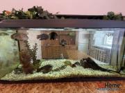 Купить 1-комнатную квартиру, Гродно, Телеграфная, 22А Гродно